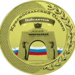 Олимпиадное движение Красносельского района